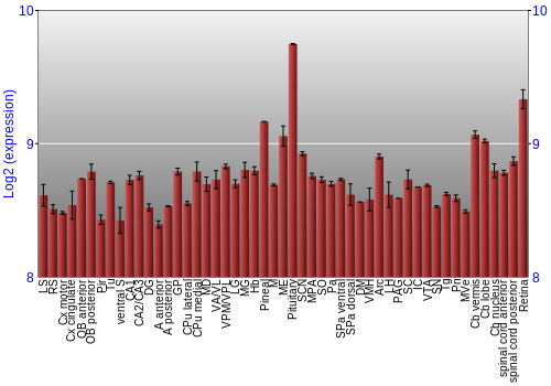 Expression graph