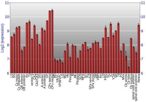 Expression graph