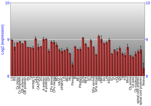 Expression graph