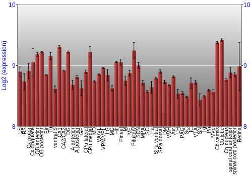 Expression graph