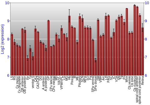 Expression graph