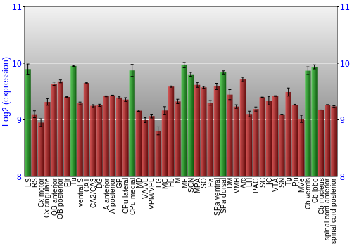 Multi-state expression graph