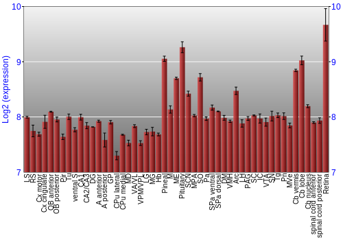 Expression graph