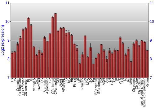 Expression graph