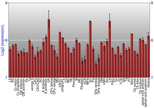 Expression graph