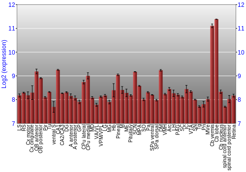 Expression graph