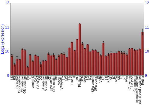Expression graph