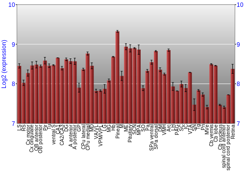 Expression graph