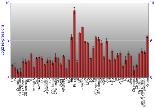 Expression graph