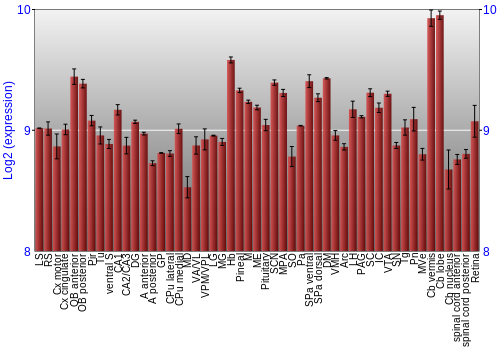 Expression graph