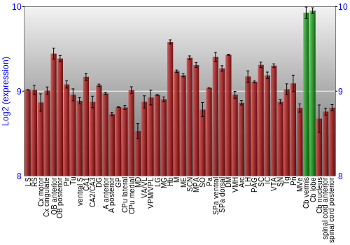 Multi-state expression graph
