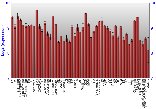 Expression graph