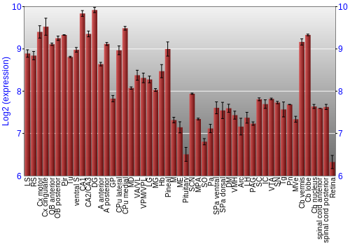 Expression graph