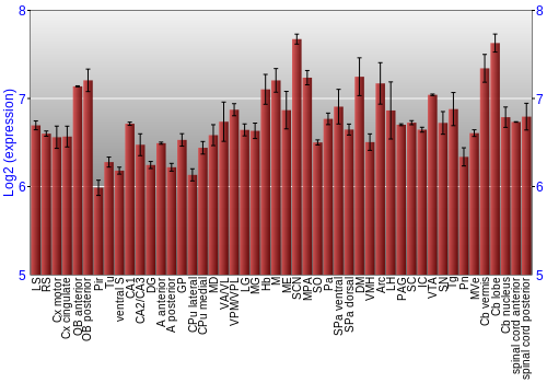Multi-state expression graph
