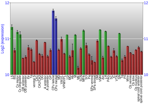 Multi-state expression graph
