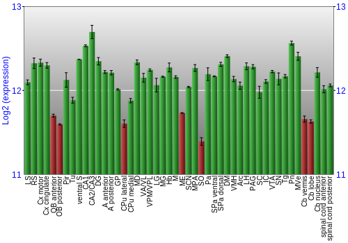 Multi-state expression graph