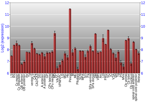 Expression graph