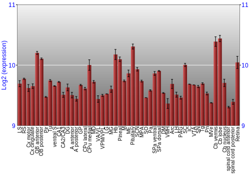 Expression graph