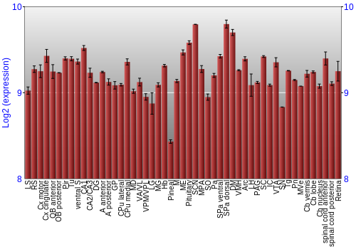 Expression graph