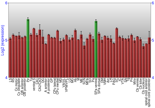 Multi-state expression graph