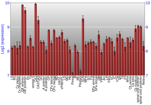 Expression graph