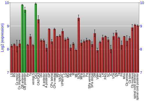 Multi-state expression graph