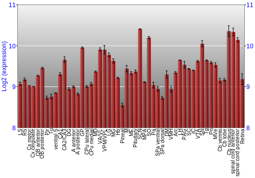 Expression graph