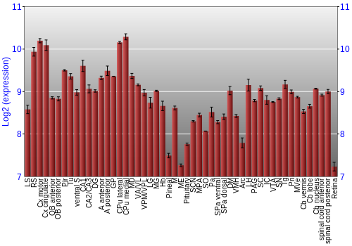 Expression graph