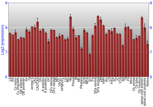 Expression graph