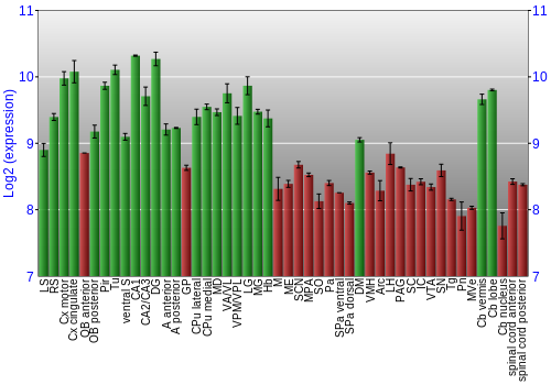 Multi-state expression graph
