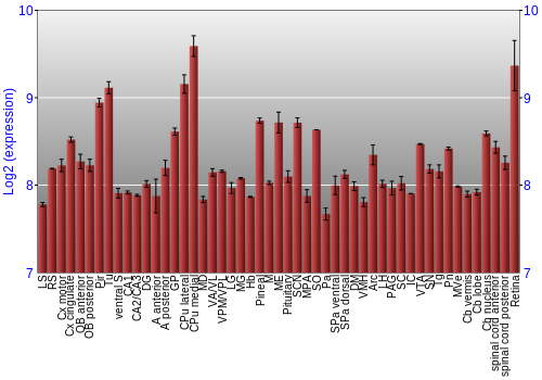 Expression graph