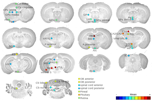 Expression map