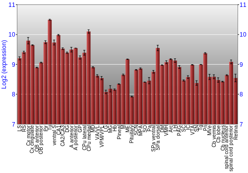 Expression graph