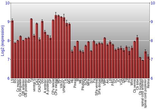 Expression graph