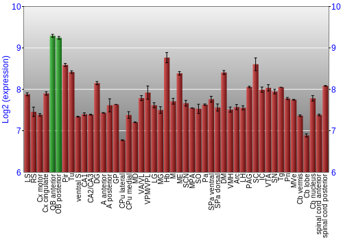 Multi-state expression graph