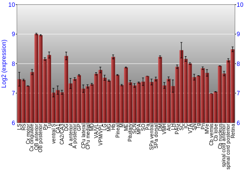 Expression graph