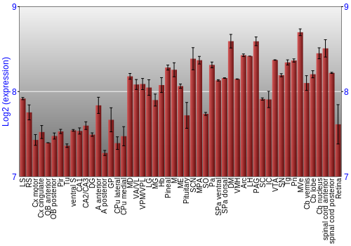 Expression graph
