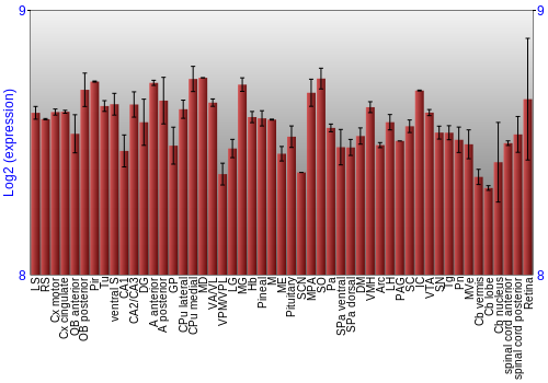 Expression graph