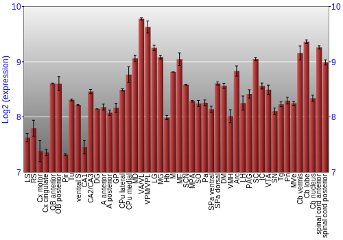 Multi-state expression graph