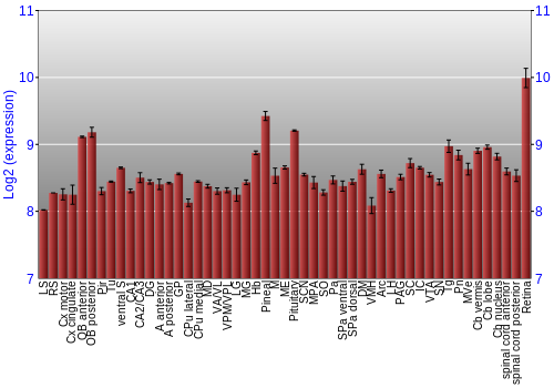 Expression graph