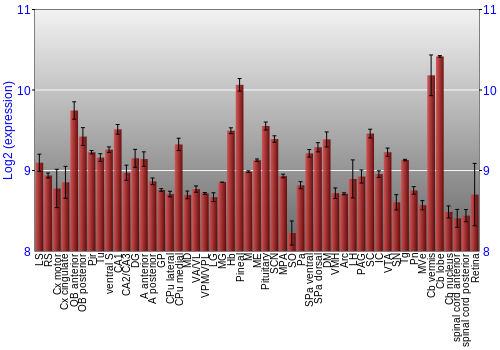 Expression graph
