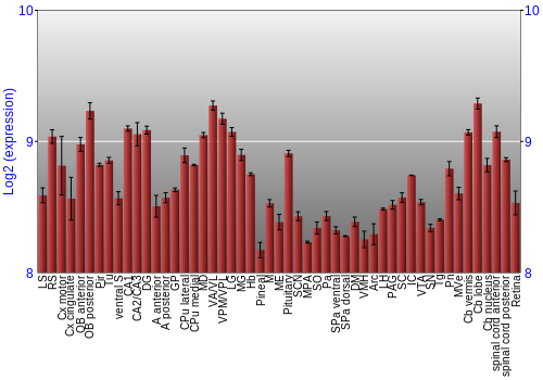 Expression graph