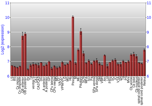 Expression graph