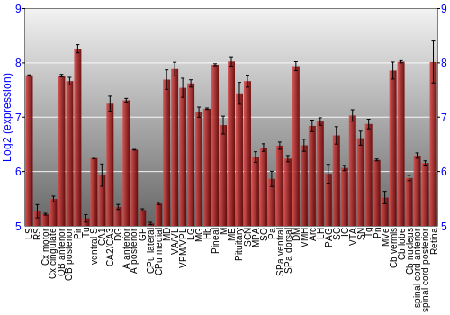 Expression graph