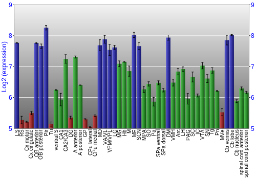 Multi-state expression graph