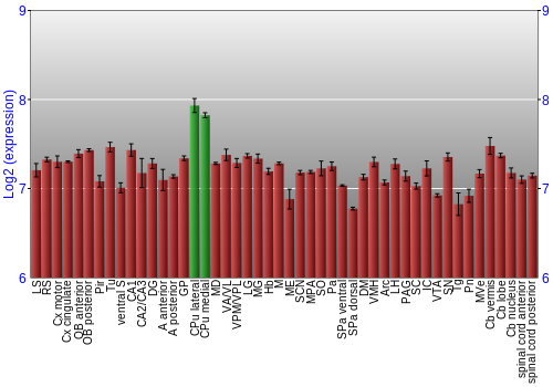 Multi-state expression graph