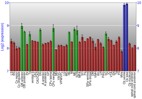 Multi-state expression graph