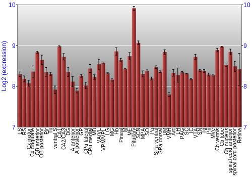 Expression graph