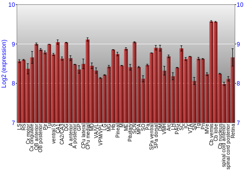 Expression graph