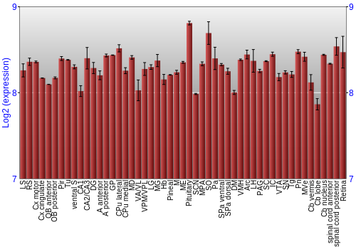 Expression graph